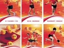 丘的网球即时排名官网2024斯诺克全部赛程表乒乓球基本知识介绍教案斯诺克分析深度